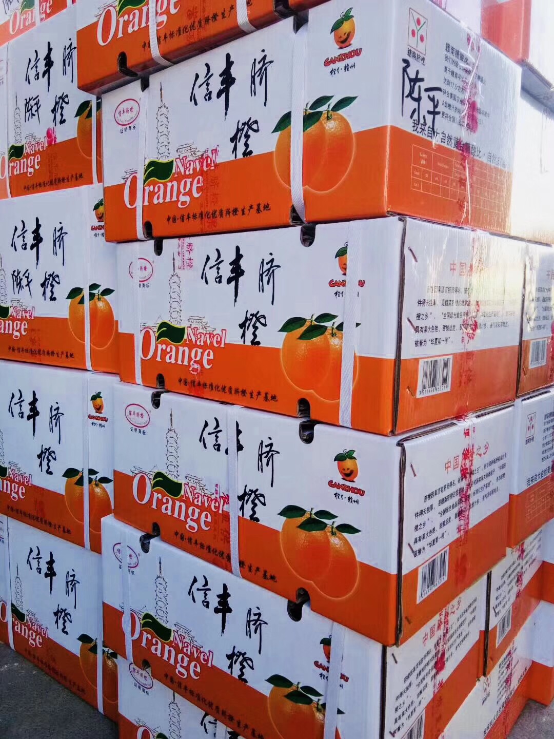 外貿(mào)云深圳運營中心-天地心網(wǎng)絡信豐臍橙禮品裝